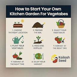 Hybrid Vegetable seed combo featuring 5 popular varieties - Tomato, Chilli, Brinjal, Carrot, and Capsicum for kitchen gardening-image-53