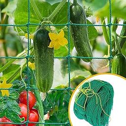 WNE Jaliwale Plant Climbing net & Creeper Net & Plant Trellis Net Plant Support Net Green Color for Agriculture and Gardening Net - 6Feet x 6Feet-30