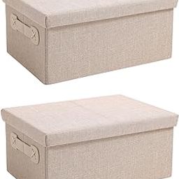HOKIPO Organisers Storage Box with Lid, Beige, Pack of 2, Large (AR-5327-BGE-L*2)-image-54