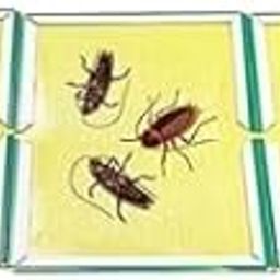 ABC Cockroach Traps, Roach Trap, Pack of 5 Pesticide Free Safe and Easy Cockroach Trap, Irresistible Bait to Catch Cockroach Design May Different-image-57