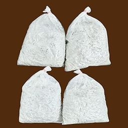 Oyster Mushroom Spawn/Seeds 1kg – Grain-Based First Generation | High Yield White Mycelium Spores | Edible CO2-Tolerant Variety + 5 PP Bags for Indoor Growing-image-0