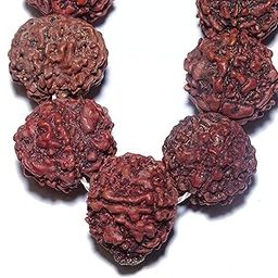 ADOWIK ® Pure 5 Mukhi Rudraksha Mala (17-20mm, Big Size, 108+1 Beads, Brown)-17