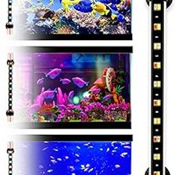 Buraq Multi-Color LED Aquarium Light, Waterproof, Energy-Efficient, WRGB Multi-Color Modes, Submersible Aquarium Lights for Fish Tanks (Upto 2.5 Ft Tank), Glass-image-70