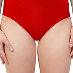 Women Silk Full Coverage Underwear, All Day Comfort Seamless Solid Hipster Panty for Girls-image-101