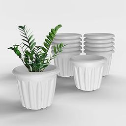 YUCCABE ITALIA SHERA Floot 10 Inch Plastic Flower Pot 12 Piece Set of Round Shape Planter for Home Garden Seedling Planter for pots (White)-picture-1