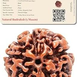 5 mukhi rudraksha Original Certified | Authentic 5 mukhi Nepali rudraksha 𝟏𝟓 𝐘𝐄𝐀𝐑𝐒 𝐖𝐀𝐑𝐑𝐀𝐍𝐓𝐘| with Certificate | 5 Faced rudrakhsa| 5 मुखी रुद्राक्ष ओरिजिनल (Pack of 1)-picture-31