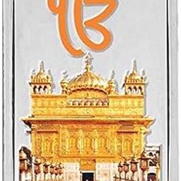 20g (999.9) Golden Temple Silver Colour Bar-image-19