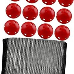 LOOM TREE 12Pcs Outdoor Pickleballs 26 Holes Portable with Storage Bag for Competition Blue | Tennis & Racquet Sports | Tennis | Balls-image-54