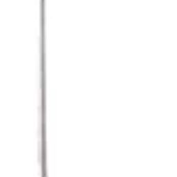 Waldent Short Barbed Broaches Assorted 21mm #0-6 | Endodontic Pulp Extirpation Files | Flexible Stainless Steel | Dental Root Canal Instruments | Pack of Assorted Sizes-image-64