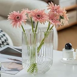 Bs amor Clear Ribbed Glass Flower Vase, 7.3" H Modern Small Vase, Ellipse U Shaped Fluted Striped Decorative Vase, Fit for Home Living Room Table Decor (Open:5" x 2.6")-1