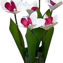 Garden Art Artificial 3D Orchid Bunch 6 Head 31cm for Home Decor | Decorative Flowers GAA3DOB-31WP (White & Pink)-image-78