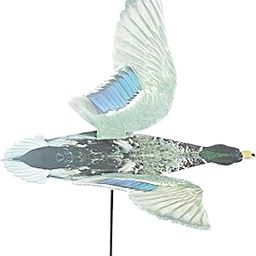 MERISHOPP Outdoor Outdoor Activity Duck Decoy Decor Versatile Spread Winged Garden Animal Decoy Male Duck-image-68