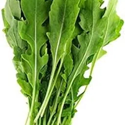 ActrovaX Organic Jarjeer Seeds for Planting/?????? ?? ???-30 Seeds-picture-30