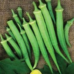 Creative Farmer Vegetable Seeds Bhindi Seeds - Elephent Tusk Okra Seeds Rarest Seeds Grow Bags Home Garden Seeds-image-8