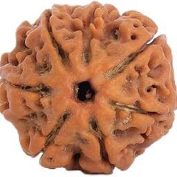 Nepal Origin 7 Mukhi Rudraksha with Silver-Capping | Attract Wealth & Prosperity | Financial Stability, Inner Peace & Spiritual Growth | Sacred Rudraksha Bead for Women & Men-image-57