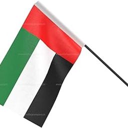 The Flag Company UAE Wall Mounted Flag | 12x18 Inch Fabric Flag with Wall Bracket | Ideal for Office, Home & Embassy Décor-10