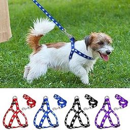 Nylon Adjustable Leash with Harness Set Printed Nylon Puppy Harness for Small & Medium Dogs Colour May Vary (0.5 INCH), multicoloured-image-18