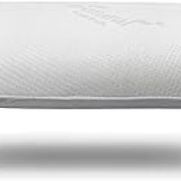 Foams India® Natural Latex Foam® - Elegant Pillows 24 x 16 x 6''-image-68