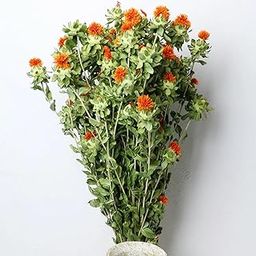 Arte Casa Dried Safflower Stems with Orange Blooms Natural Dried Flowers Green Foliage Set of 5 Stems-image-2