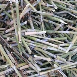 Super napier stick (30 pc)-image-10