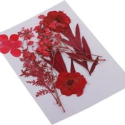 VELURA 6 Kinds Pressed Press Dried Flower Real Dried Flower Plant Specimen For Scrapbooking Card, Art Crafts, Epoxy Resin Jewelry Making Silicone Mold Filler-image-25