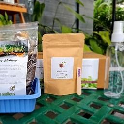 Radish Microgreens Grow Kit | One Seed Pack | Quick Growing in 10-12 Days | Fresh & Nutritious | Easy Indoor Gardening Kit for Home, Balcony & Kitchen Garden-image-44