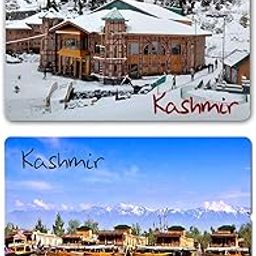 Kaseeda Gifts Wooden Fridge Magnet Souvenir from Kashmir | Indian Famous Places Destination Refrigerator Magnets for Home & Kitchen-image-10