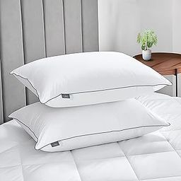 bien LIVING Extra Soft Microfiber Filled Plush Pillow, Down Alternative Hypoallergenic Pillow, 17 x 27 Inches, White (Pack of 2)-image-40