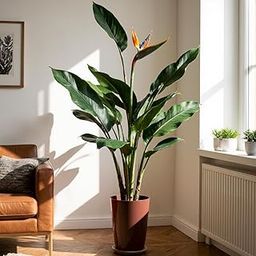 Kraft Seeds Qutub 18 Inch Tall Planter Pot with Bottom Plate, Copper Glossy Finish, 12 Inch Dia - Flower Pots for Garden, Planters for Home Decor, Indoor Plant Pot for Balcony & Living Room-image-21