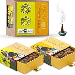 PHOOL LUXURY INCENSE Devotion Pack Of 2 Natural Incense Cones | Fragrance - Tulsi & Jasmine | Special Char Dham Yatra Pack | 80 Natural & Organic Dhoop Cones For Pooja | Free Dhoop Stand Inside-23