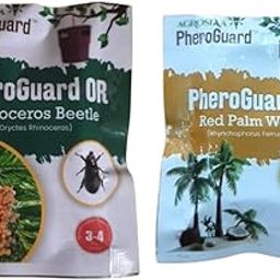 OR Lure for Rhinoceros Beetle - Agriculture Use | 50-60 Days Life | Pack of 5 | & | RF Red Palm Weevil Lure - for Agriculture Use - 50-60 Days Life-image-32