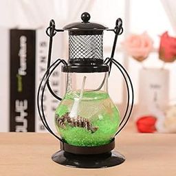 Decorative Gel Lantern Candle for Diwali and Home Decor Candles/Lantern(Pack of 1)-image-85
