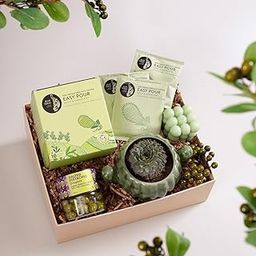 The Knot Company Birthday Gift Hamper | 4 Assorted Gifts: Nutty & Chocolatey Coffee, Salted Pistachio Dragees, Cactus Plant With Pot, and Sage Green Bubble Candle | Birthday, Anniverary, Valentine Gift for Men, Women and Friend-picture-14