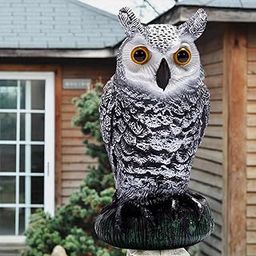 TOG 2X Owl Scarecrow Decoy Owl Figurine Pigeons Bird Deterrents Pest Repellent'|Home & Garden| Yard, Garden & Outdoor Living| Garden Decor| Statues & Lawn Ornaments'-picture-29