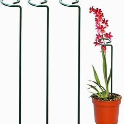 Deco POINTB - 18 Inches Single Stem Plant Support Stakes Garden Stakes, (Pack of 3) Metal Plant Support Sticks | Home Garden Accessories !! Buy Now !-image-5