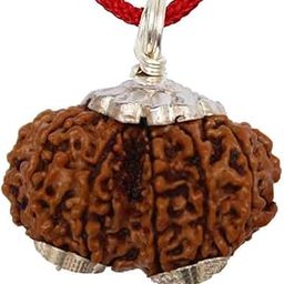 Gori Shankar Rudraksha Nepali Beads गौरी शंकर रुद्राक्ष Naturally Joined Rudraksha Brown Combined Rudraksha Brown Gawri Shankar Rudraksha Original CerftifiedPendant For Men-18