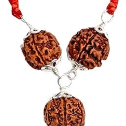 DEVAMA THE DIVINE Natural & Certified Saraswati Bandh 2 Beads of 4 Mukhi/Faced & 1 Bead of 6 Mukhi/Faced Rudraksha Astrological Rudraksha for Men & Women (Brown)-27