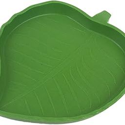 LOOM TREE Water Dish Small Decorations Water Reptile Bowl for Gecko Scorpion Chameleon Style A-11
