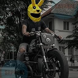 SRPHERE Bunny Helmet Cover for Motorcycle Full Helmet Plush Protective Case for Motorcycle Helmet Cover-image-84