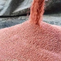 Potash/Flowering Plants/Potassium Carbonate/Crop nutrition (900 gram)-picture-19