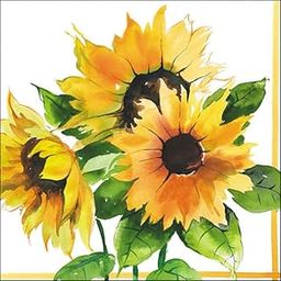 DCAD Decoupage Tissue Paper Napkin - Floral tissue Girasoli (Pack of 20 Same Design, Size 33 cm X 33 cm)-22