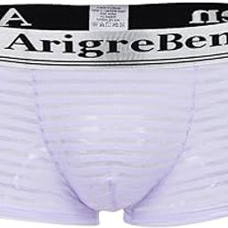 Men's Breathable Mesh Stripe Low Waist Boxer Briefs Underwear Shorts L Purple | Clothing Shoes & Accessories | Mens Clothing | Underwear | 1 Piece of Boxer Briefs-image-8