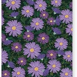 Factor Notes Sketchbook: A6 Pocket Sized, Textured Fine Grain Medium Surface 120 GSM (Ditsy Daisy)-29