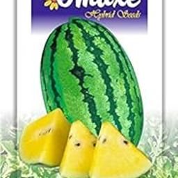 Kitchen Garden Hub Watermelon F1 Climax Yellow Exotic Seeds - Pack Of 2 Kitchen Garden Seeds Packet Sold By Kitchen Garden Hub-image-76