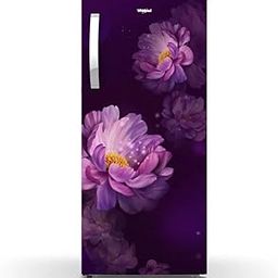 Whirlpool 192 L 3 Star Direct-Cool Single Door Refrigerator (215 IMPRO PRM 3S PURPLE PEONY-Z, 2023 Model)-picture-19