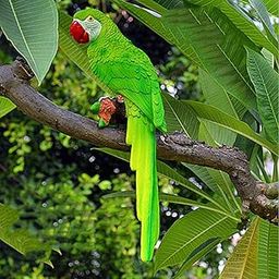 Club Bollywood®Resin Craft Realistic Parrot Birds Ornament Plant Hanging Look Right Green|Home & Garden | Garden D?©Cor |1 X Resin Parrot Ornament-image-21