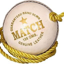 SL(A Shri Laxmi Product) Leather Match Practice Hanging Cricket Ball White Pack Of 1 (Club Size)-image-38