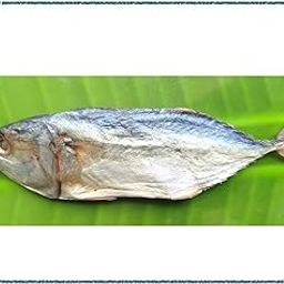 Lemurian's Rameswaram Special Sun Dried Premium Mackeral/Kumula | அயிலை/குமுளா - 200g-image-52