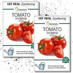 Navika Seeds Tomato Seeds for Gardening | Pack of 2 (Total 4g) | Free Growing Guide | Best sowing: Feb–Apr & Jun–Jul across India; grows year-round in South India!-image-31