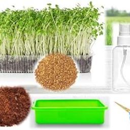ORGANIC ALFALFA COMPLETE GROWING KIT AT HOME (Grow & Eat)(With Tray, Accessories & Instructions)-picture-19